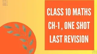  Chapter 1 Real Numbers Class 10 One Shot | Complete Explanation | Last Minute Revision