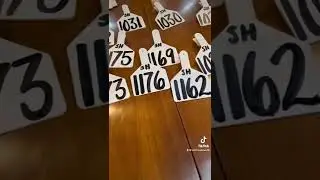 It&rsquo;s Tagging Time!!