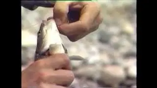 Pesca sportiva in Veneto