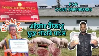 Frozen Pig meat. Pig Slaughter and Meat Production Tezpur Symbiotic Food