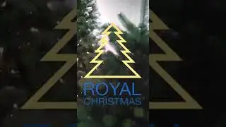 Royal Christmas - Decoration Kit Artificial Christmas Tree - Gold