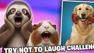 99% fail this 🫩 | try not to laugh | top 10 funny videos 😄