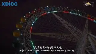 Hidden Charms in Xizang | Lhasa at Night: Savoring the Slow Hours (XDICC)