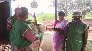 Swachh Bharat Mission (G) -ODF plus   Modal Village Panchayat VAGUTHALVARPATTI   Documentary