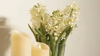Fanagans Funeral Directors Dublin