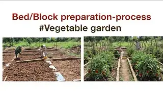 Bed / Block preparation-process #backyardgarden # organic 