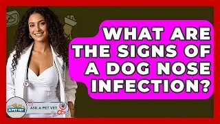 What Are The Signs Of A Dog Nose Infection? - Ask A Pet Vet