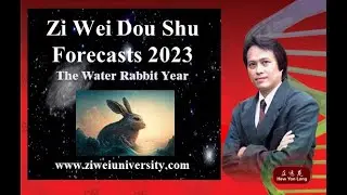 Ziwei University ZWDS forecasts 2023 En RV1