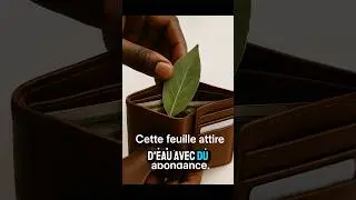 La puissance spirituelle de la feuille de laurier.#purifier #abondance #rituelafricain #amour