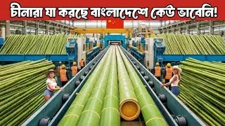দেখুন চীনারা কিভাবে লাখ লাখ বাঁশ দিয়ে কোটি টাকার পণ্য তৈরি করে! | Bamboo Industry China