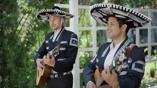 13 Datos curiosos de M&eacute;xico que sorprenden hasta a los mexicanos