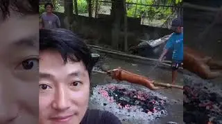 Koreano nag letson ng native na baboy sa Pinas