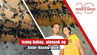 Isang bahay, pinasok ng daan-daang ibon! | Kapuso Mo, Jessica Soho
