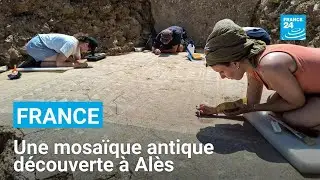 Une mosaïque antique refait surface sur les hauteurs d'Alès • FRANCE 24