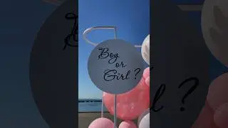 Гендер-пати Владивосток🎀🧸 #гендерпати #genderparty #reelsvideo #reels #reelsvideo