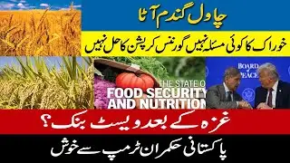 Rice or Whole Wheat | No Food Security Issues | Gaza then West Bank | #drabduljabbarkhanofficial