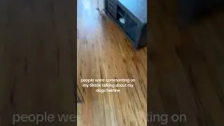 Veterans will always be honest with you