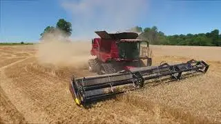 Geringhoff TruFlex Razor