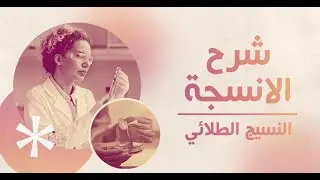 الانسجة - المحاضرة الاولى | Epithelial Tissue | كلية الصيدلة