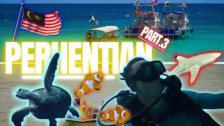 VLOG MALAISIE - PERHENTIAN - PART3 - CETTE PLONGÉE AURAIT PU MAL TOURNER 🦈 