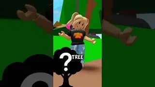 What Tree Can Fit in Your Hand?