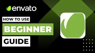 How To Use Envato Elements For Beginner