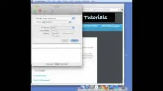 External Harddrive Organization Script Tutorial