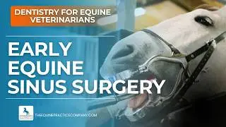 Early Equine Sinus Surgery: Trephining Techniques from the 1500s
