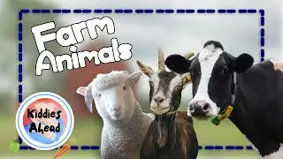 Farm Animals | Real Animal Sounds & Quiz | Educational Video | kiddies Ahead