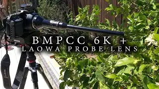 BMPCC 6K + Loawa Probe Lens (First Day Test Footage)