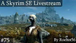 Skyrim SE Livestream: Excavation Excitement