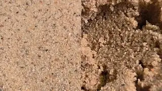 Request: Tengen1402 ❤️ Squeaky, Mosser Lee Mix (Dry & Damp) #asmr #satisfying #sand #sandplay 