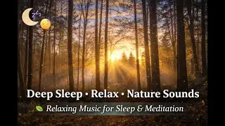 Relaxing Nature Sounds for Deep Sleep, Meditation & Stress Relief 🌿 Calm Music to Sleep and Focus