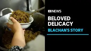 The story of the travelling recipe: Blachan l ABC News