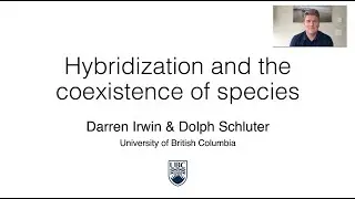 Hybridization and the Coexistence of Species (Evolution 2021 conference talk)