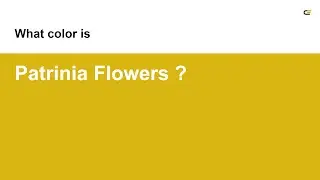 Patrinia Flowers color #d9b611 hex color - Green color - Cool color d9b611