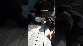 Pro level arm wrestling #new #zealand #viral #vlog #fyp #like #wog #live