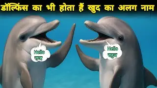 |डॉल्फिंस के पास होते है अपने खुद के नाम|#dolphinsounds| dolphin|