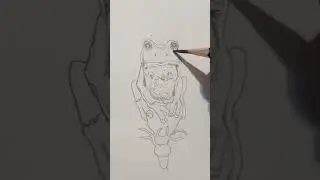 Frog #Portrait #Drawing  ❤️ 🔔 #Shorts #draw #drawings #pencil #sketch #frog #frogs #trend #animals