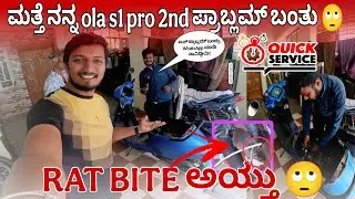 Ola S1 Pro ಸ್ಕೂಟರ್&zwnj;ಗೆ ಮತ್ತೆ Rat Bite 😱 | Tips for EV Owners Must Watch! #olascooter #quickservice 