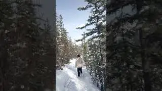 Snowshoeing in Denali National Park