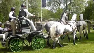 NAPROUS Daniel, GBR, RWHS 2016 CAIO4, Windsor GB, Horse Four in Hand, Marathon O 7,14 05 2016