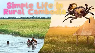 Peaceful Village Life in Cambodia | Beautiful Rice Fields & Local Traditions