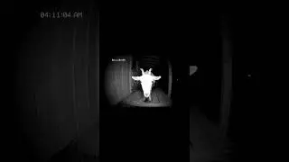 Night vision CCTV footage on a farm shed at 4:11 AM.
