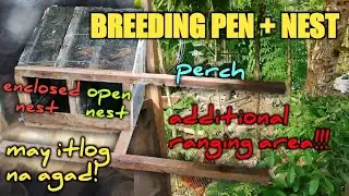 BREEDING PEN + NEST | Ranging Area | Free Range Backyard Farming Part 4 | D' Architects Hobby