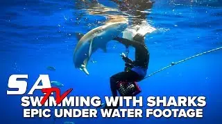 SA TV | Swimming with SHARKS! Epic Underwater Footage!
