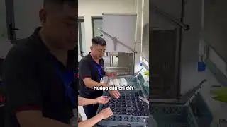 Review | M&aacute;y rửa b&aacute;t c&ocirc;ng nghiệp Texgio d&agrave;nh cho doanh nghiệp | MSL Việt Nam
