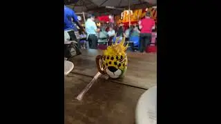 Exploring Manaus: Historic Sites, Markets & Culture 🇧🇷 #travel #adventure #food