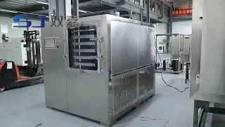 Commercial Freeze Dryer Lyophilizer Freeze Dryer Machine Silicone Oil Heating Vacuum Freeze Dryer