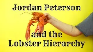 Jordan Peterson and the Lobster Hierarchy